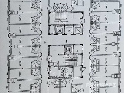 保定学院派最新动态-保定学院动态速递