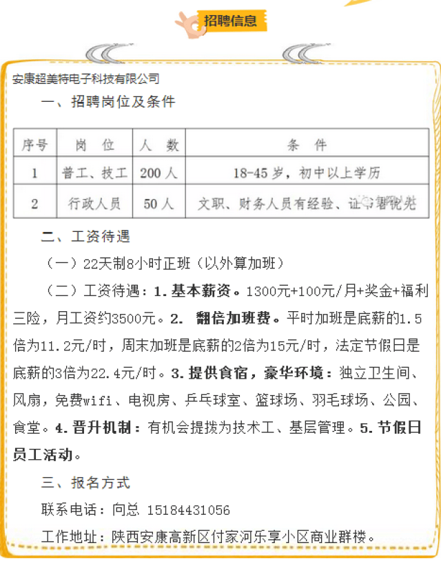 东阳安康人才招聘资讯速递